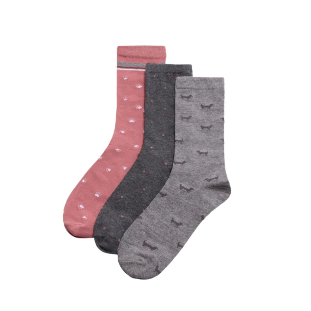 3 paia di calze corte in cotone a tema animal lover con bassotto